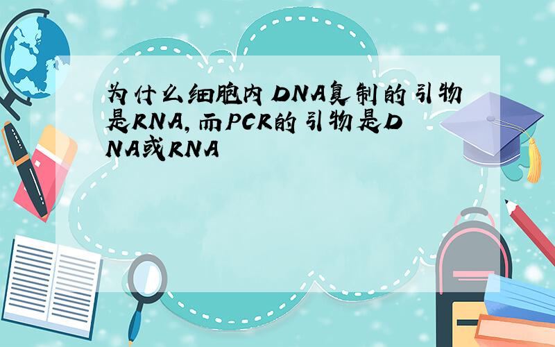 为什么细胞内DNA复制的引物是RNA,而PCR的引物是DNA或RNA