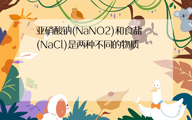 亚硝酸钠(NaNO2)和食盐(NaCl)是两种不同的物质