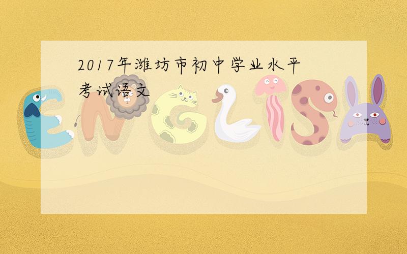 2017年潍坊市初中学业水平考试语文