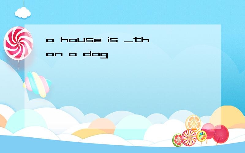a house is _than a dog