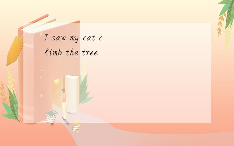 I saw my cat climb the tree