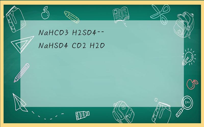 NaHCO3 H2SO4--NaHSO4 CO2 H2O