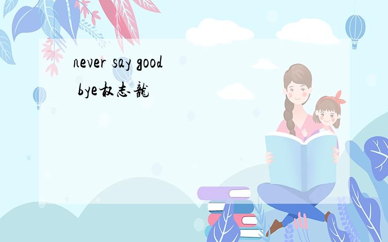 never say good bye权志龙