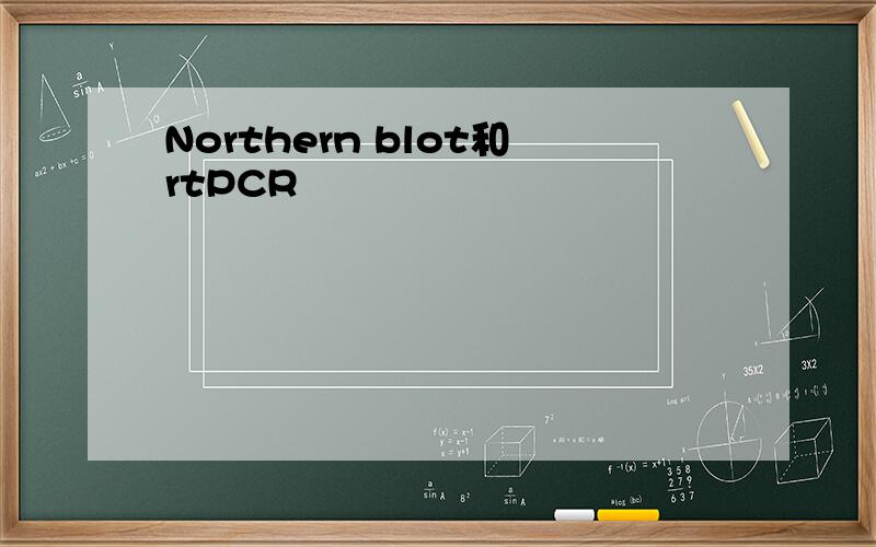 Northern blot和rtPCR