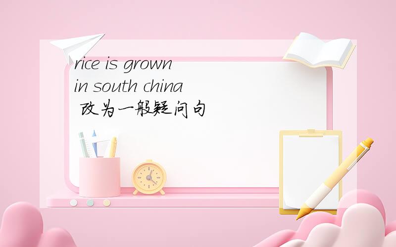 rice is grown in south china 改为一般疑问句