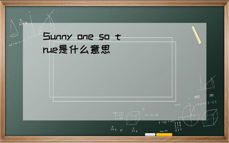 Sunny one so true是什么意思