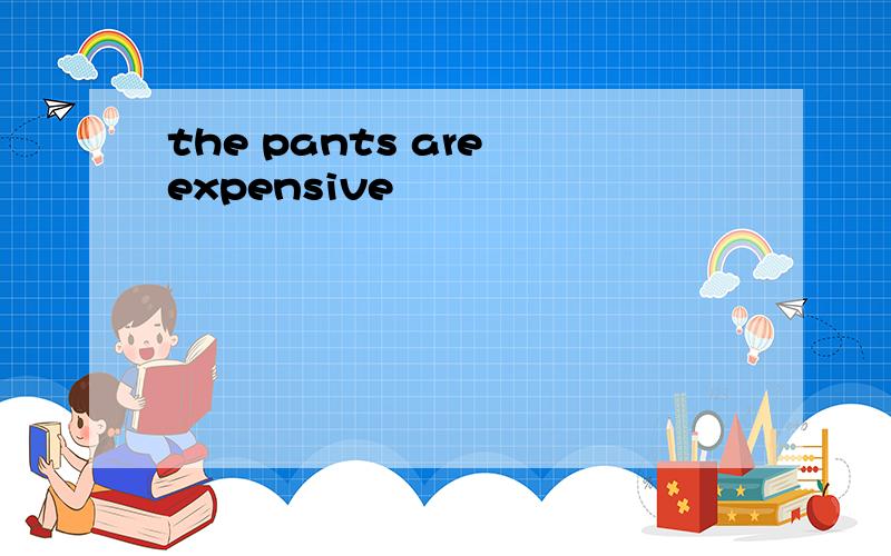 the pants are expensive