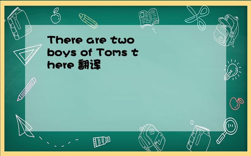 There are two boys of Toms there 翻译