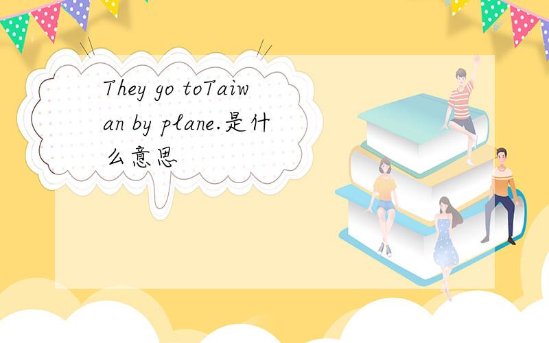 They go toTaiwan by plane.是什么意思