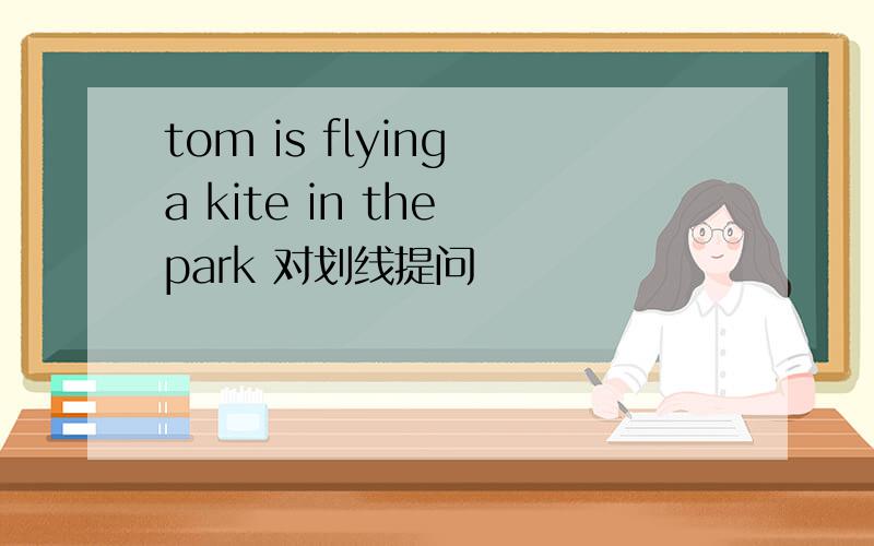tom is flying a kite in the park 对划线提问