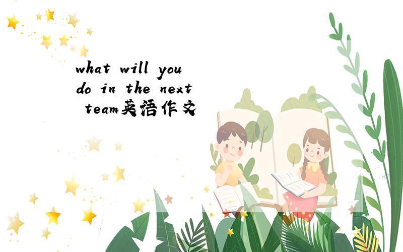 what will you do in the next team英语作文