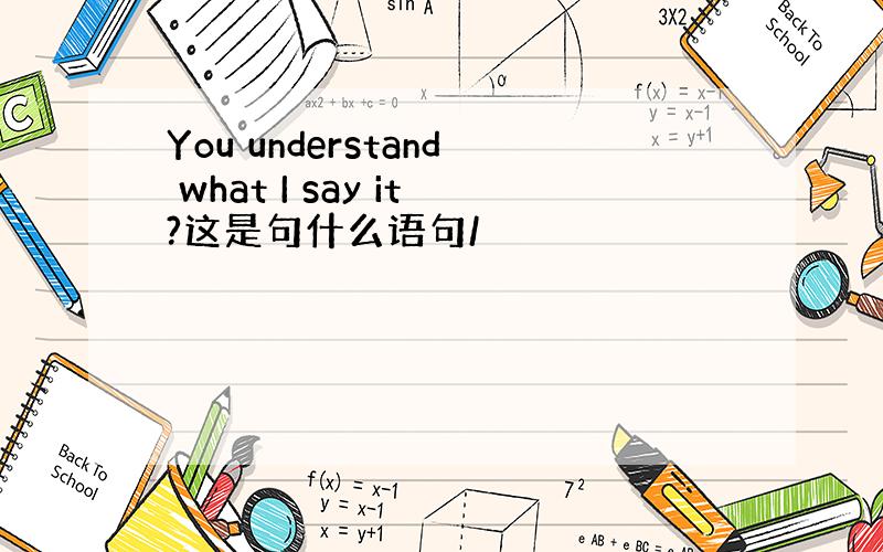 You understand what I say it?这是句什么语句/