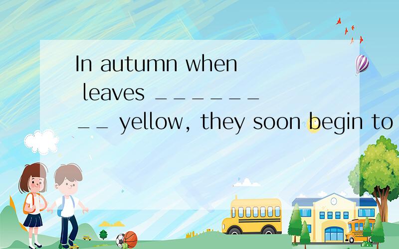 In autumn when leaves ________ yellow, they soon begin to fa