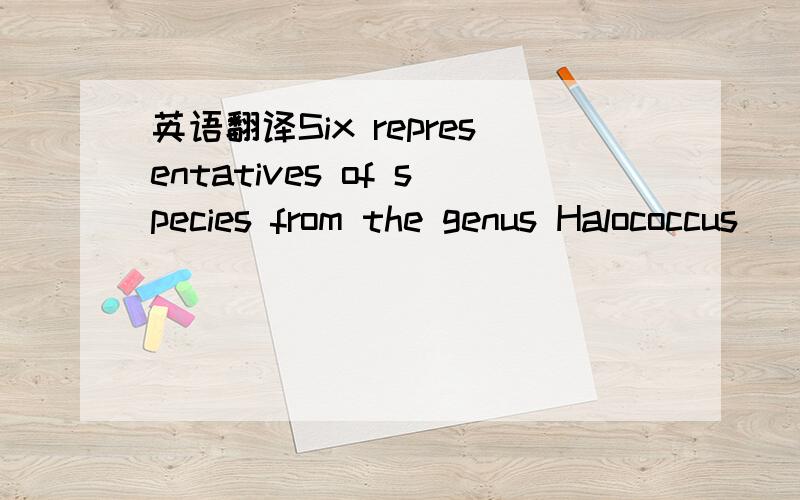 英语翻译Six representatives of species from the genus Halococcus