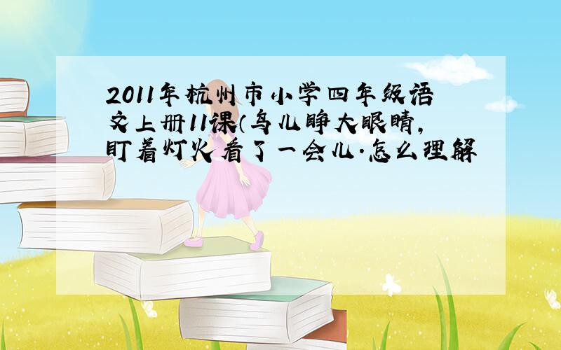 2011年杭州市小学四年级语文上册11课（鸟儿睁大眼睛,盯着灯火看了一会儿.怎么理解