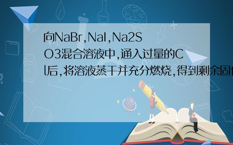 向NaBr,NaI,Na2SO3混合溶液中,通入过量的Cl后,将溶液蒸干并充分燃烧,得到剩余固体的组成可能是
