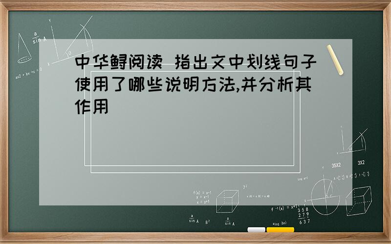 中华鲟阅读 指出文中划线句子使用了哪些说明方法,并分析其作用