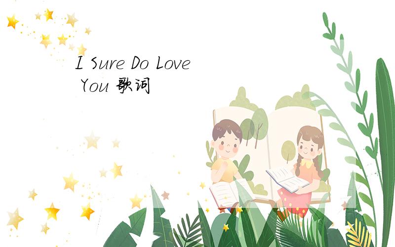 I Sure Do Love You 歌词