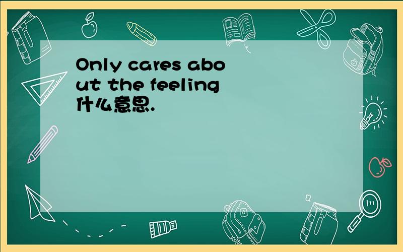 Only cares about the feeling什么意思.