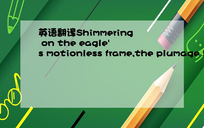 英语翻译Shimmering on the eagle's motionless frame,the plumage i