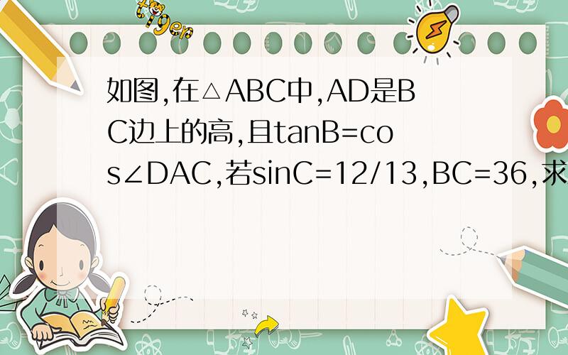 如图,在△ABC中,AD是BC边上的高,且tanB=cos∠DAC,若sinC=12/13,BC=36,求AD的长