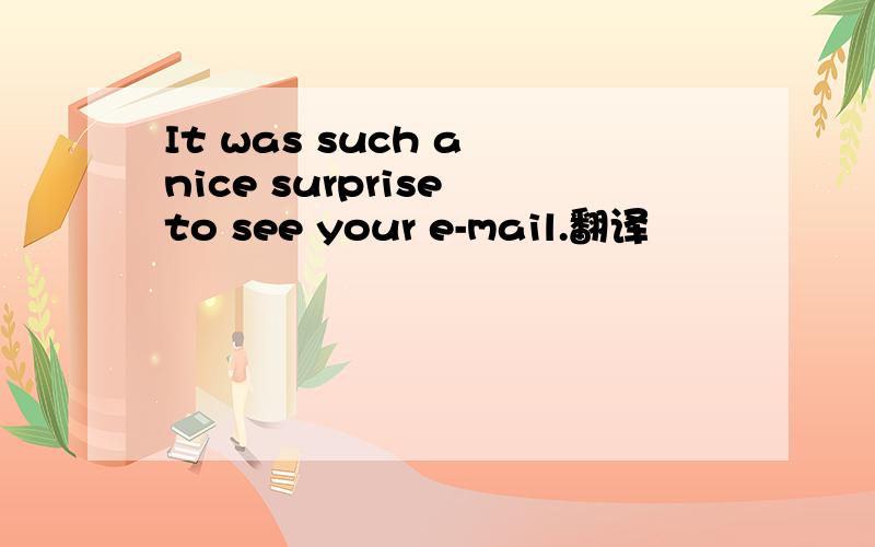 It was such a nice surprise to see your e-mail.翻译
