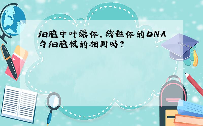 细胞中叶绿体,线粒体的DNA与细胞核的相同吗?