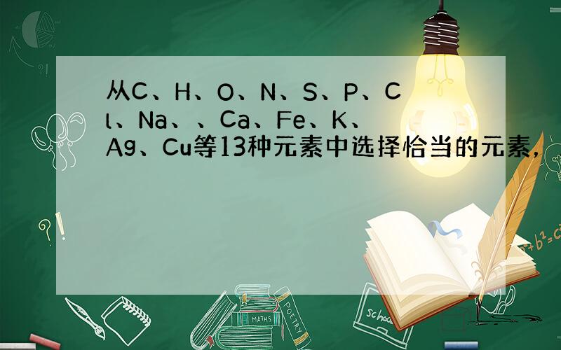 从C、H、O、N、S、P、Cl、Na、、Ca、Fe、K、Ag、Cu等13种元素中选择恰当的元素，用离子符号、化学式或化学