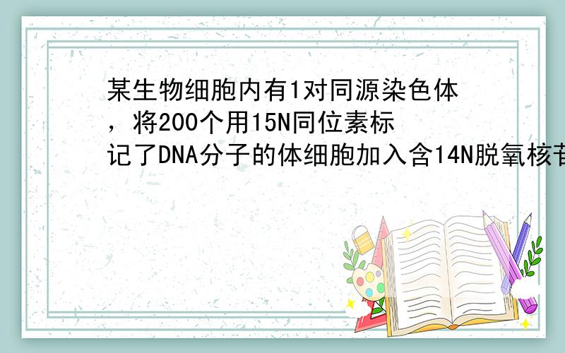 某生物细胞内有1对同源染色体，将200个用15N同位素标记了DNA分子的体细胞加入含14N脱氧核苷酸的培养液中，并在适宜