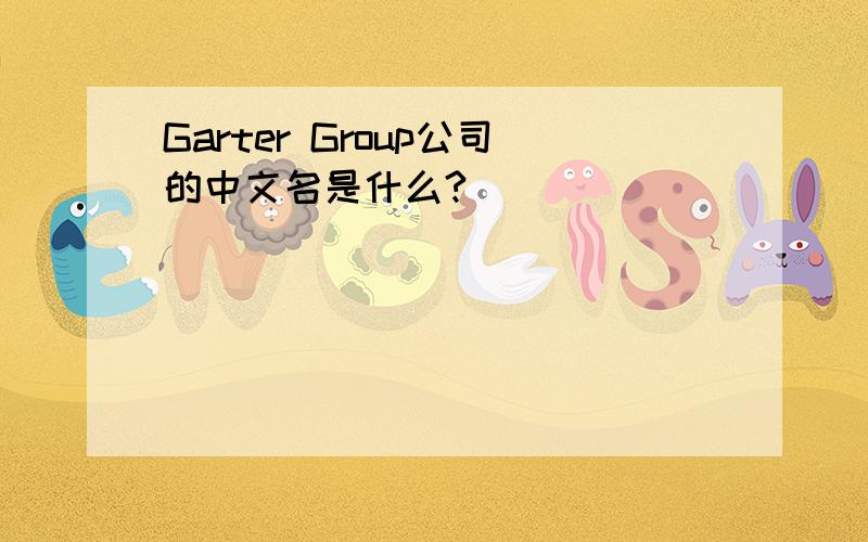 Garter Group公司的中文名是什么?