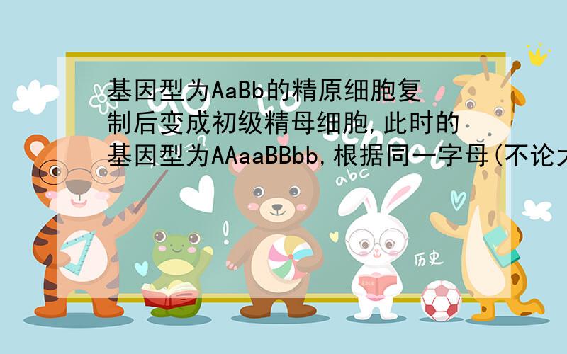 基因型为AaBb的精原细胞复制后变成初级精母细胞,此时的基因型为AAaaBBbb,根据同一字母(不论大小写)有几个就有几