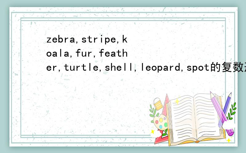 zebra,stripe,koala,fur,feather,turtle,shell,leopard,spot的复数形
