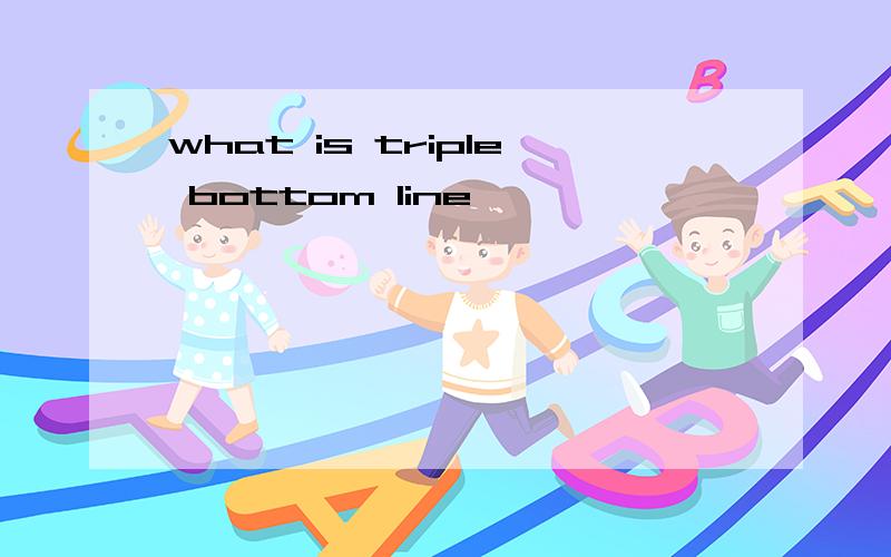 what is triple bottom line