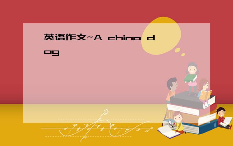 英语作文~A china dog