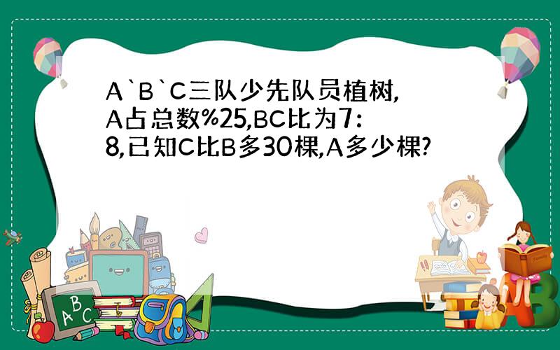 A`B`C三队少先队员植树,A占总数%25,BC比为7：8,已知C比B多30棵,A多少棵?