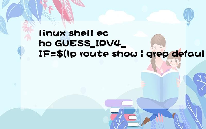 linux shell echo GUESS_IPV4_IF=$(ip route show | grep defaul