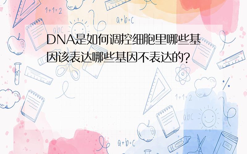 DNA是如何调控细胞里哪些基因该表达哪些基因不表达的?