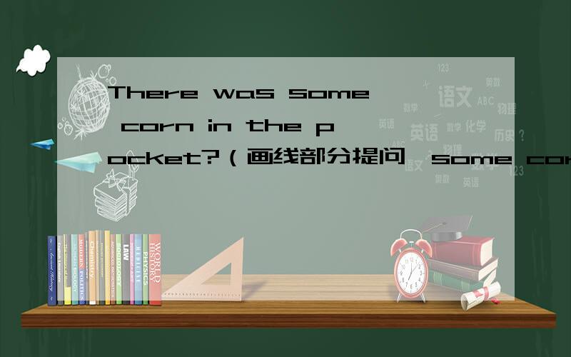 There was some corn in the pocket?（画线部分提问,some corn)
