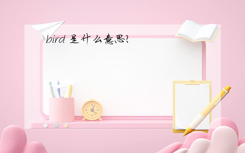 bird 是什么意思?