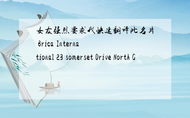女友强烈要求我快速翻译此名片 Brica International 23 somerset Drive North G