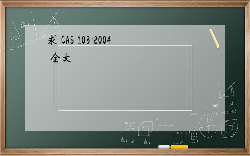 求 CAS 103-2004 全文