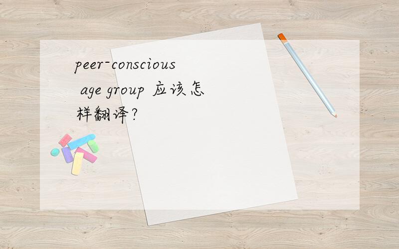 peer-conscious age group 应该怎样翻译?