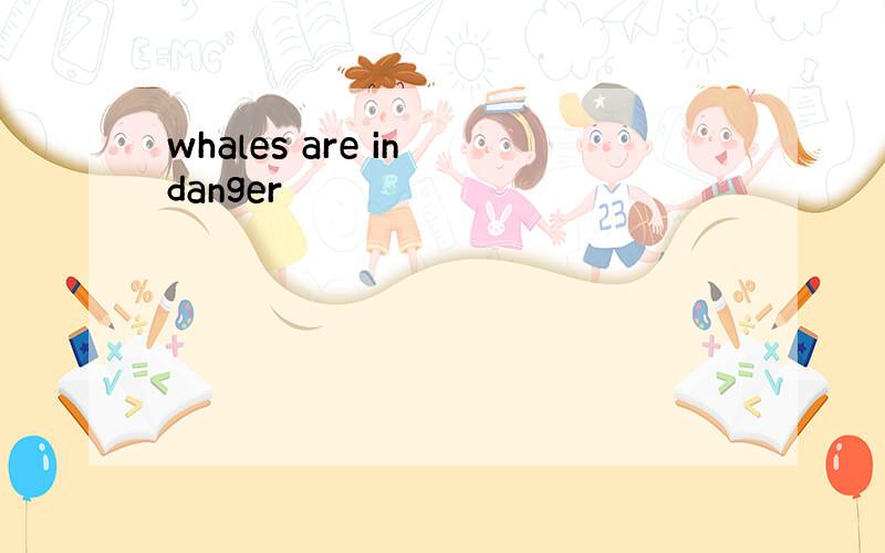 whales are in danger