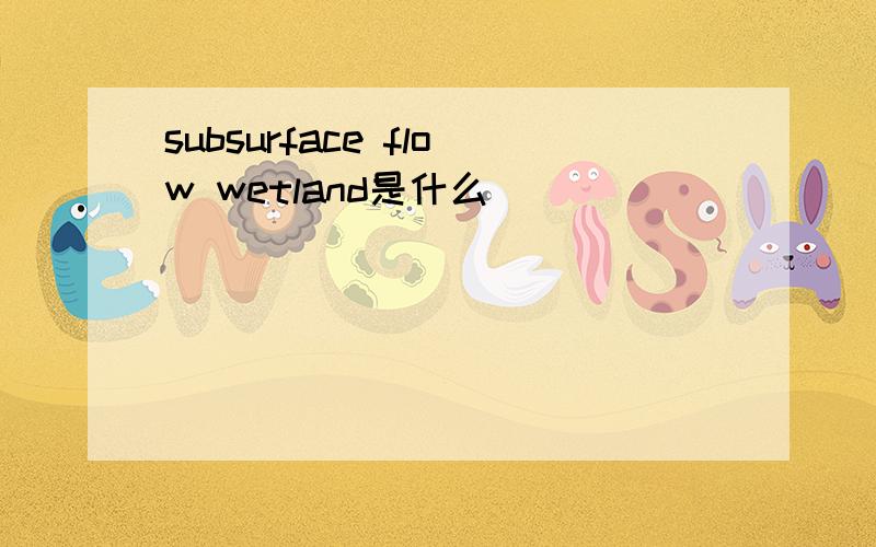 subsurface flow wetland是什么