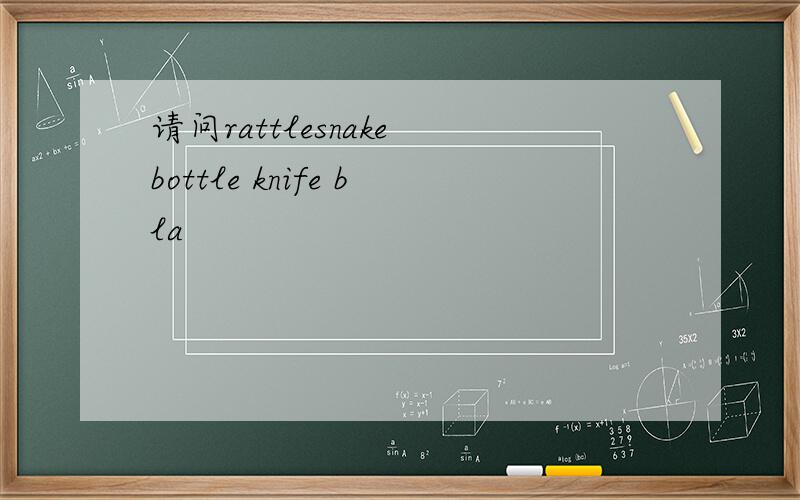 请问rattlesnake bottle knife bla