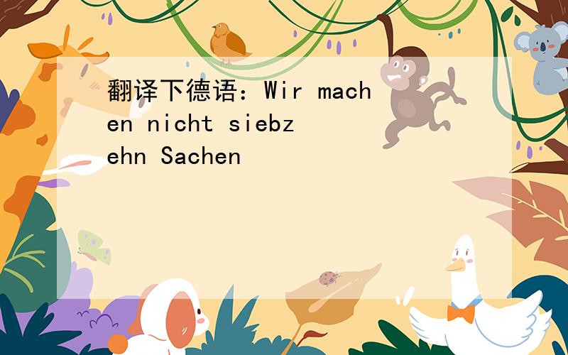 翻译下德语：Wir machen nicht siebzehn Sachen
