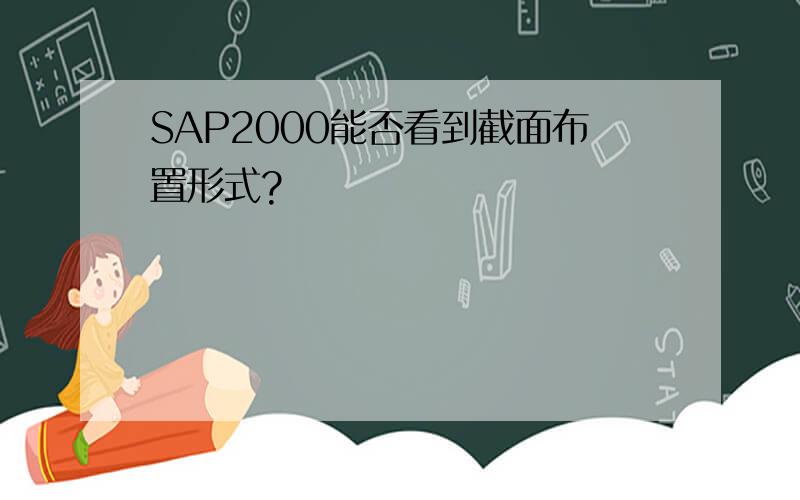 SAP2000能否看到截面布置形式?