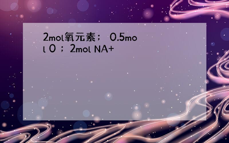 2mol氧元素； 0.5mol 0 ；2mol NA+
