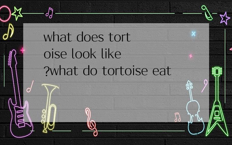 what does tortoise look like?what do tortoise eat