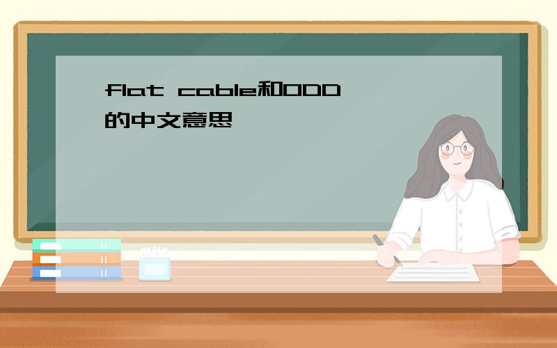 flat cable和ODD的中文意思